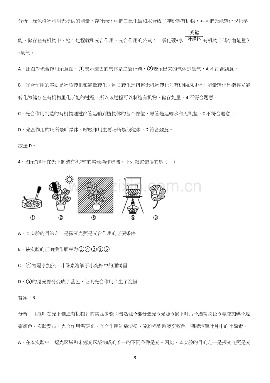 人教版2023初中生物七年级上册第三单元生物圈中的绿色植物易错题集锦.docx_第3页