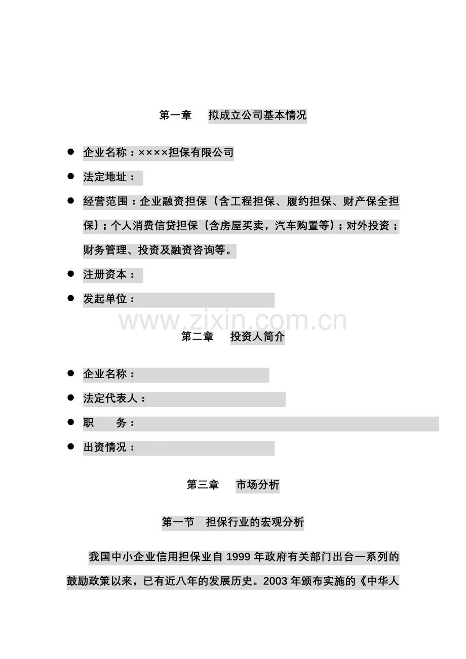 担保公司立项可行性研究报告书..........doc_第2页