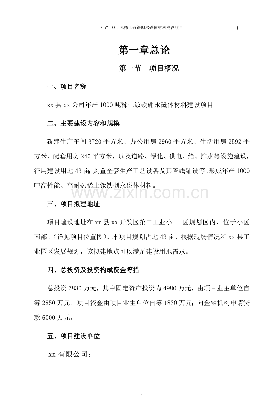 年产1000吨稀土钕铁硼永磁体材料建设项目可行性研究报告.doc_第1页