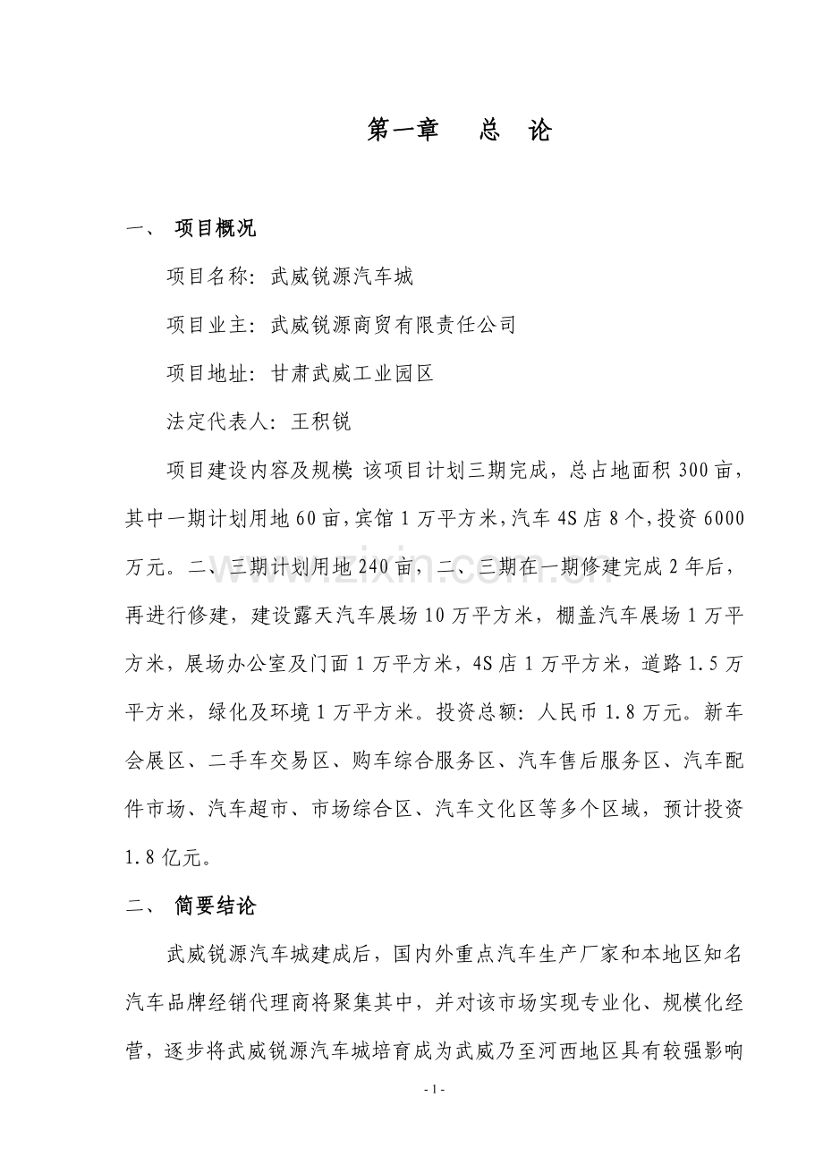 武威锐源汽车城可行性报告.doc_第1页