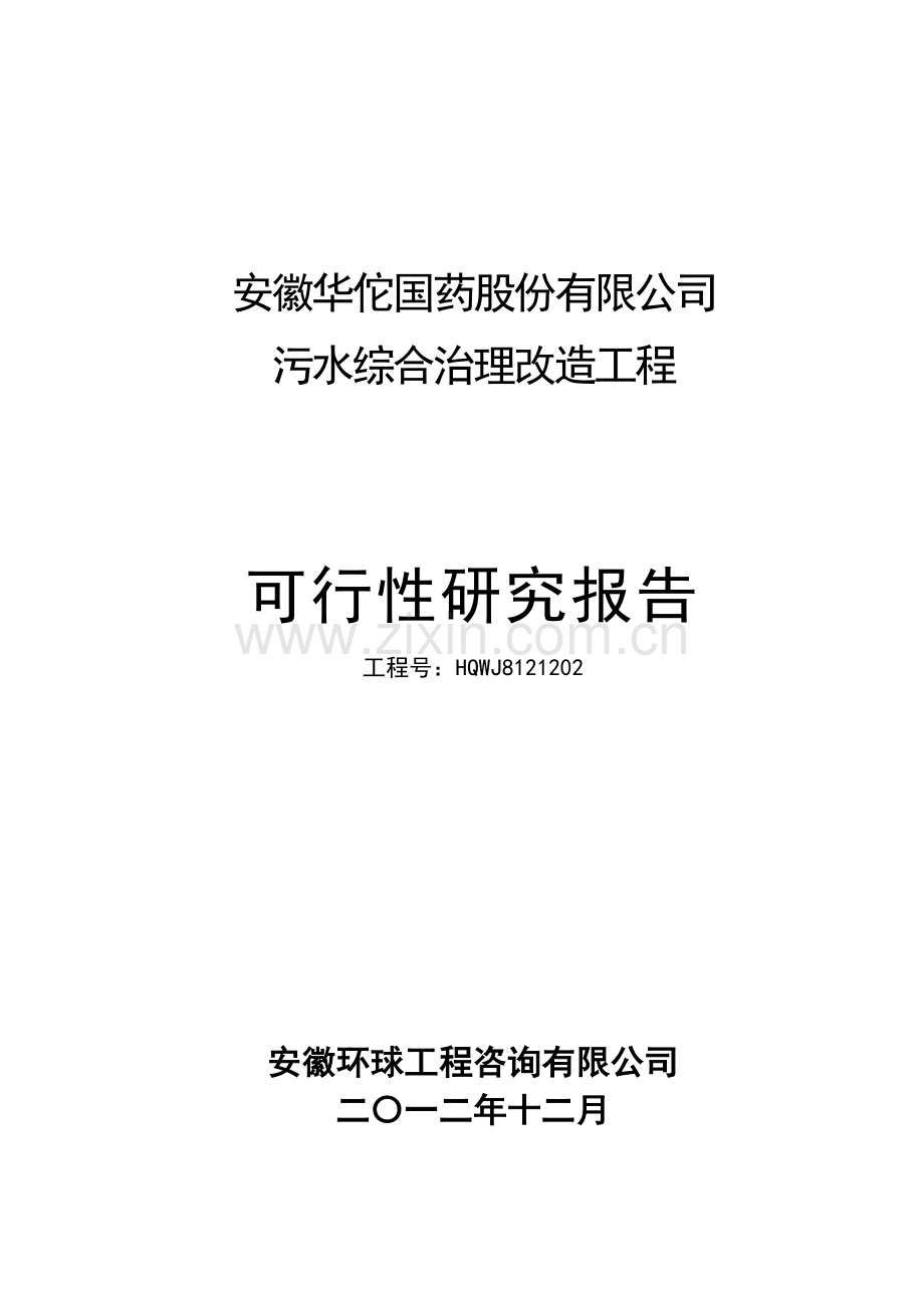 安徽华佗国药股份有限公司污水综合治理改造工程项目可行性研究报告.doc_第1页