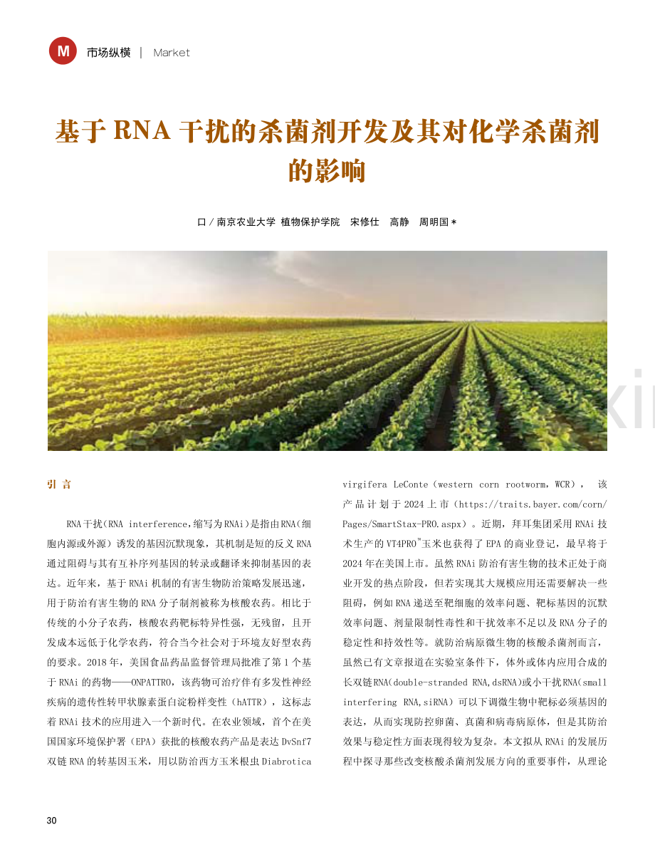 基于RNA干扰的杀菌剂开发及其对化学杀菌剂的影响.pdf_第1页