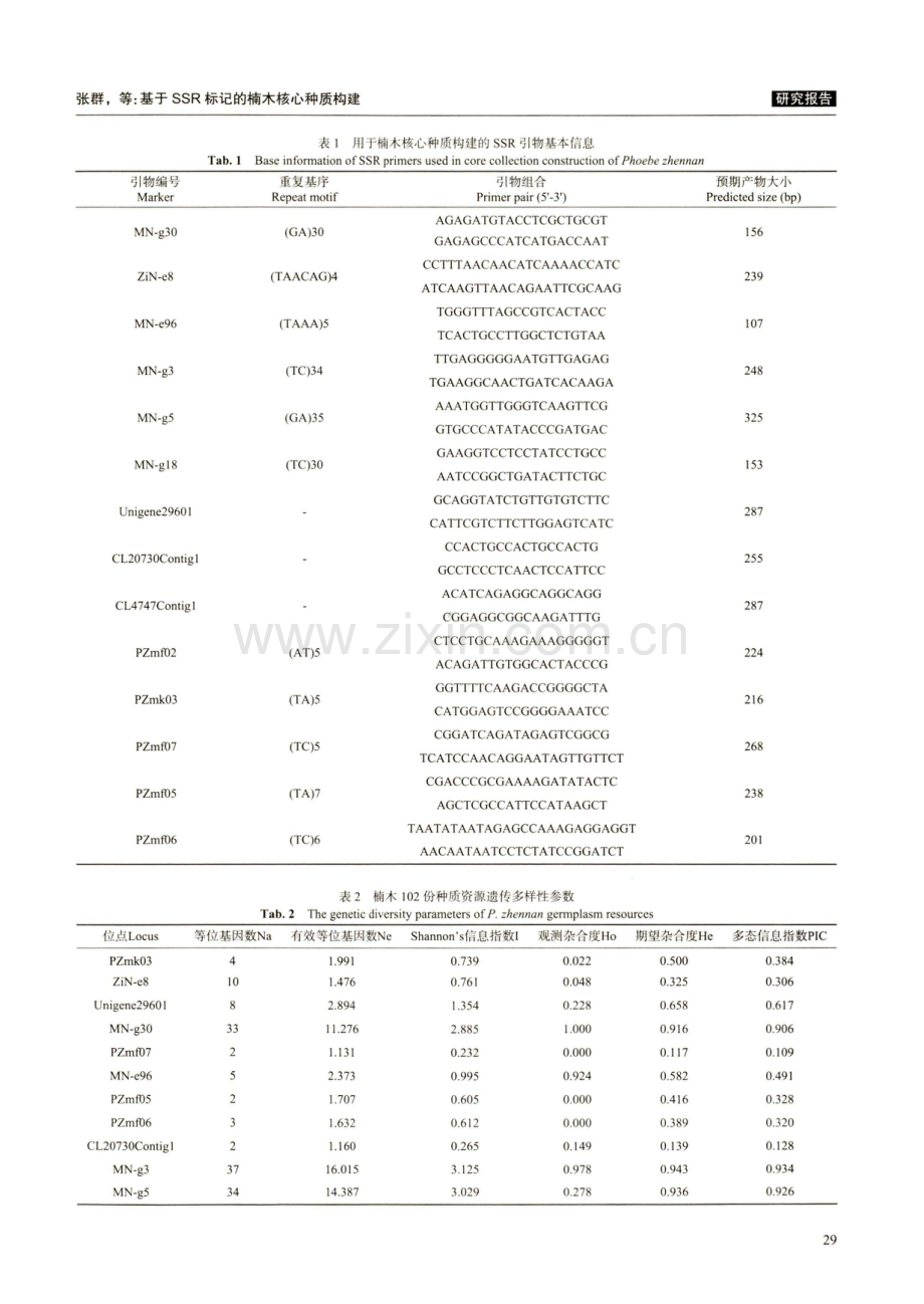 基于SSR标记的楠木核心种质构建.pdf_第3页