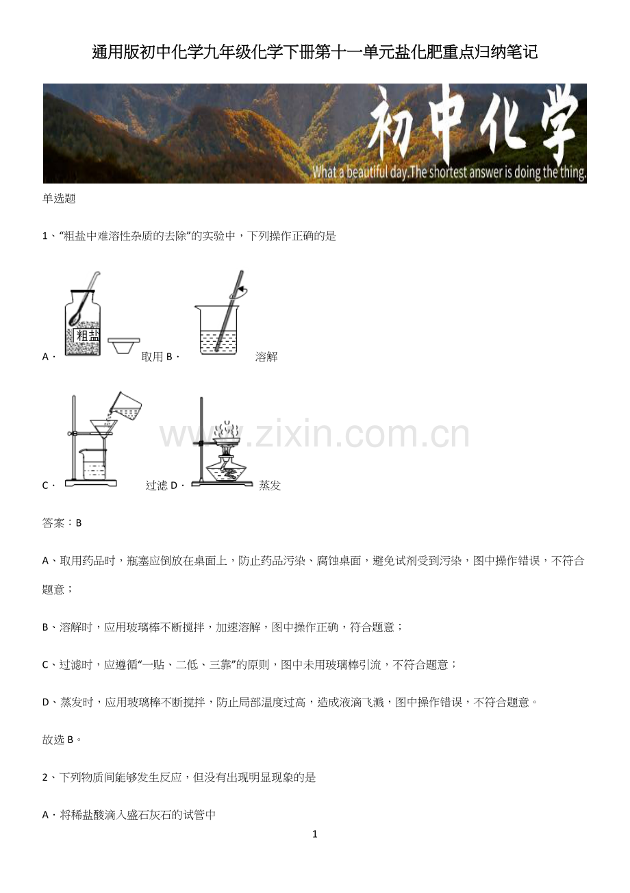 初中化学九年级化学下册第十一单元盐化肥重点归纳笔记.docx_第1页