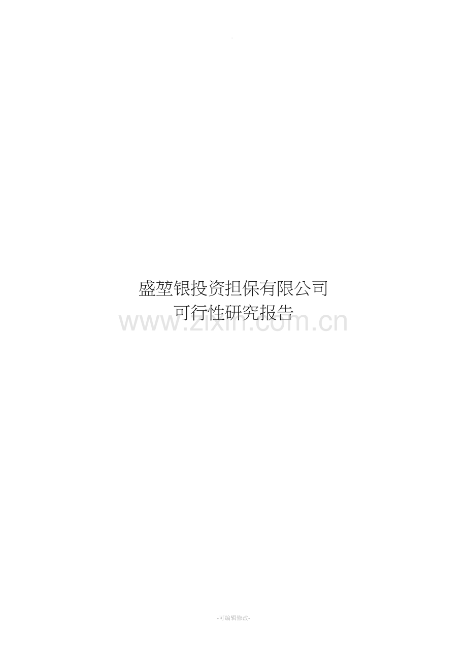 担保公司可行性研究报告.doc_第1页