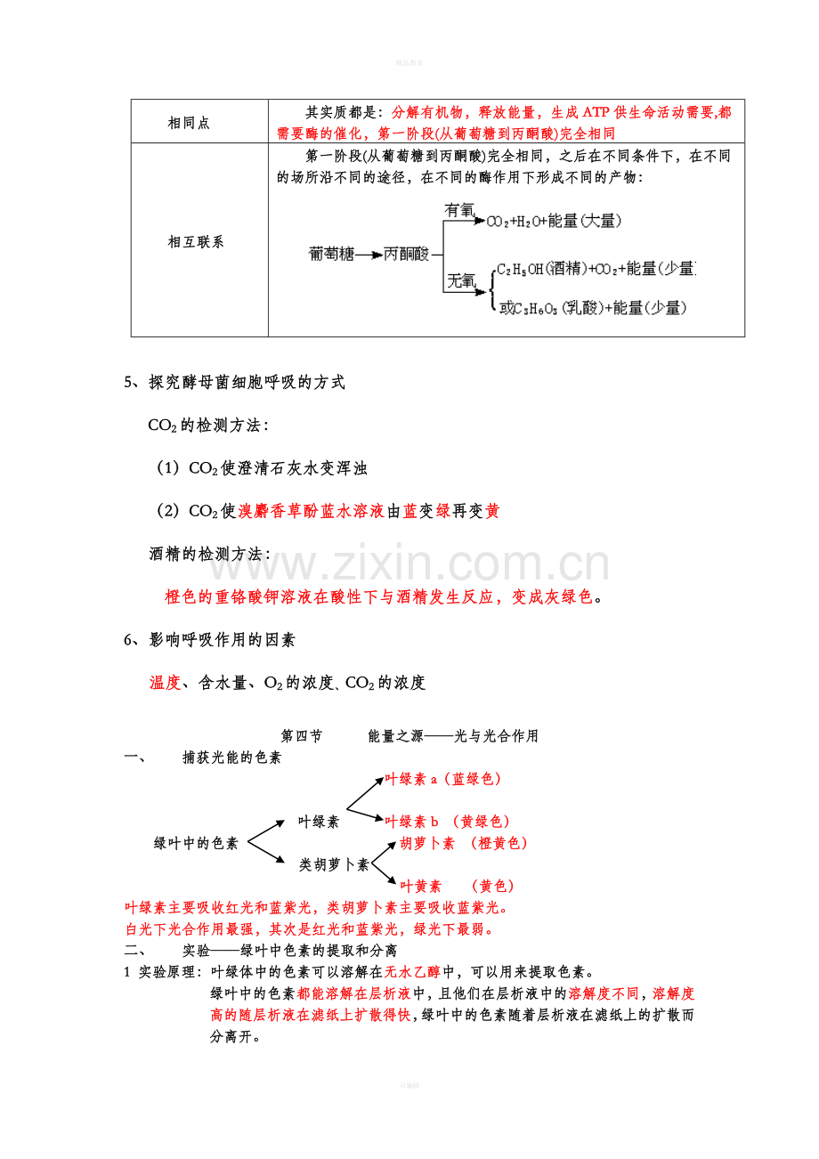 高一生物必修一第五章知识点总结.doc_第3页