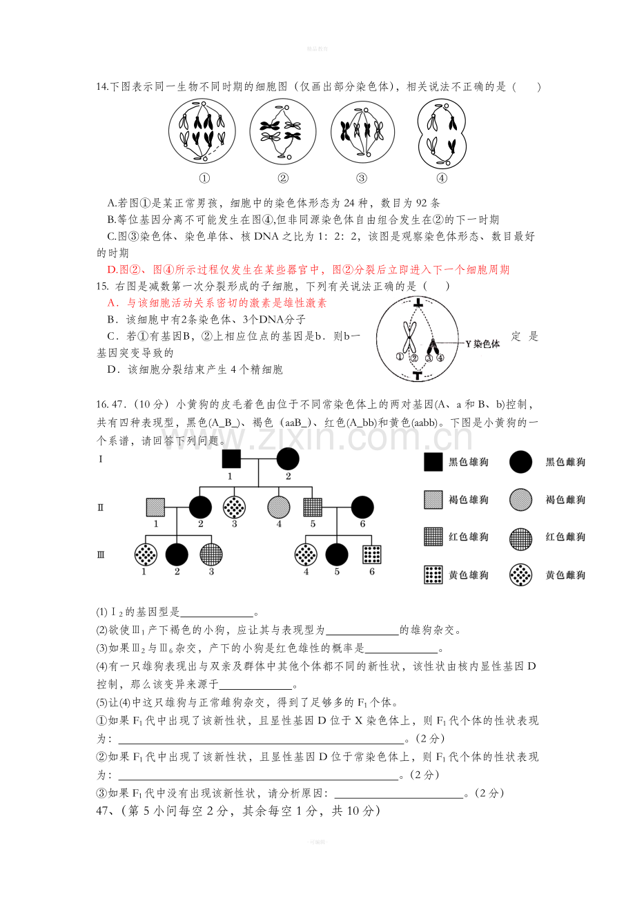 高中生物必修二第二章错题回顾.doc_第3页