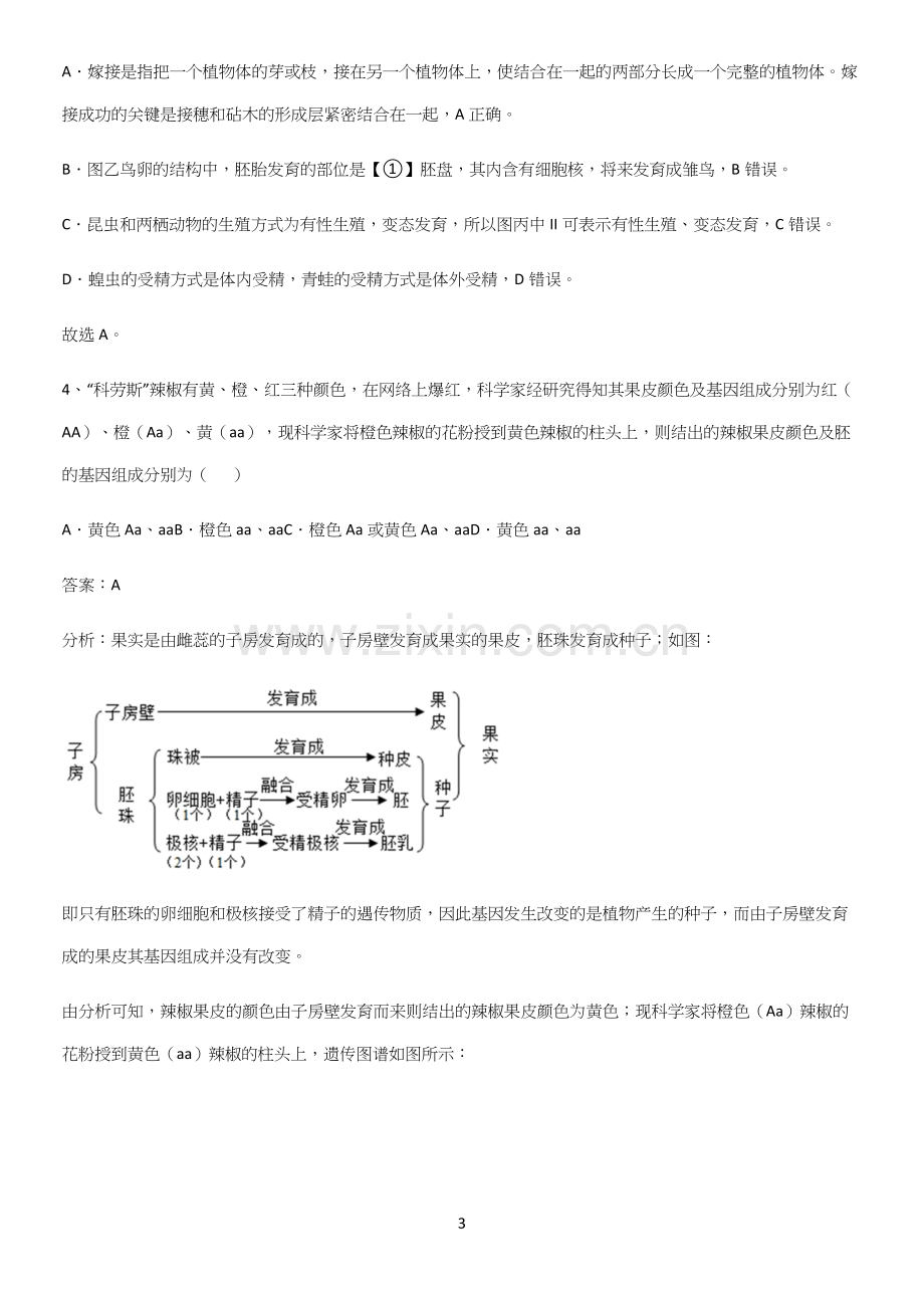 人教版初中生八年级下册第七单元生物圈中生命的延续和发展基础知识点归纳总结.docx_第3页