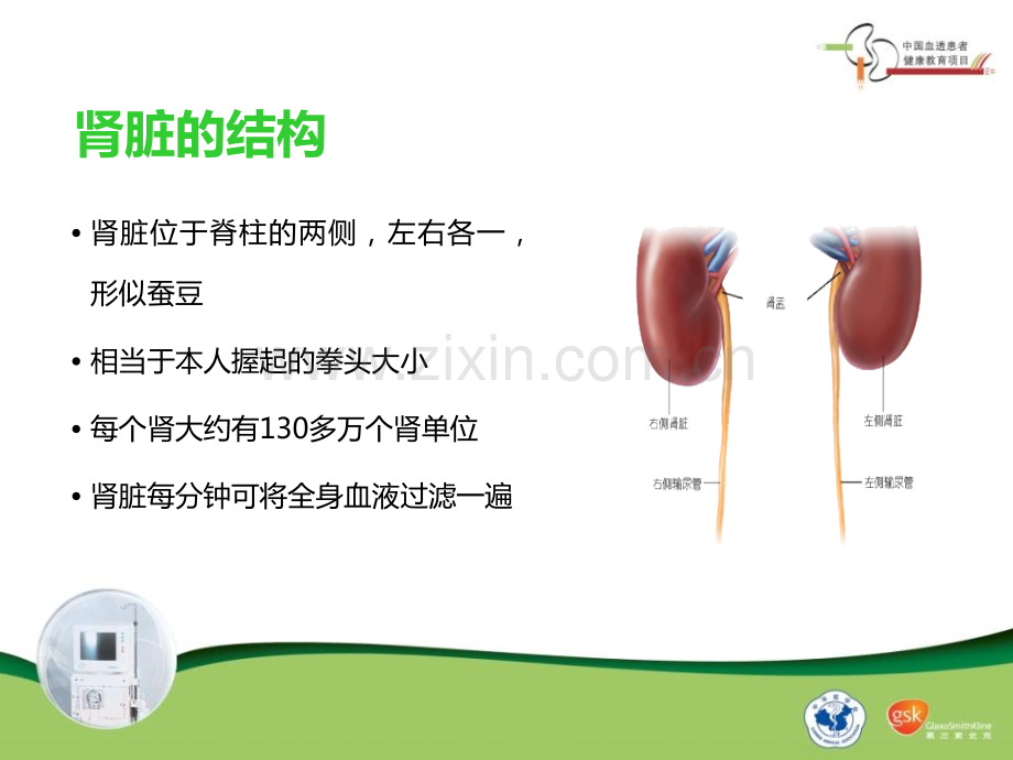 1.什么是慢性肾脏病医学PPT课件.ppt_第2页