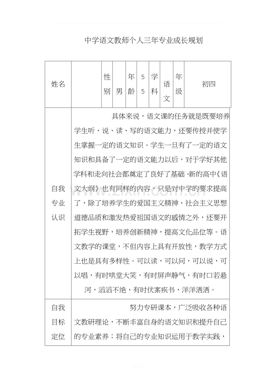 中学语文教师个人三年专业成长规划.doc_第1页