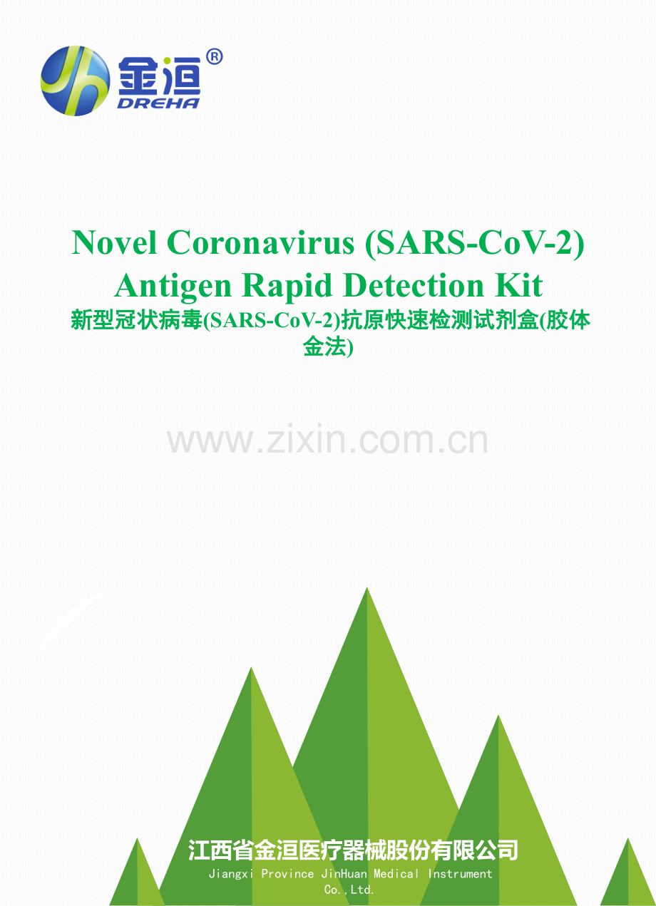 新冠抗原快速检测试剂 (SARS-CoV-2) Antigen.pptx_第1页