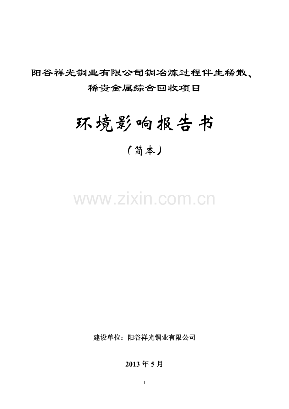 铜冶炼过程伴生稀散、稀贵金属综合回收项目环境影响评价报告书.doc_第1页