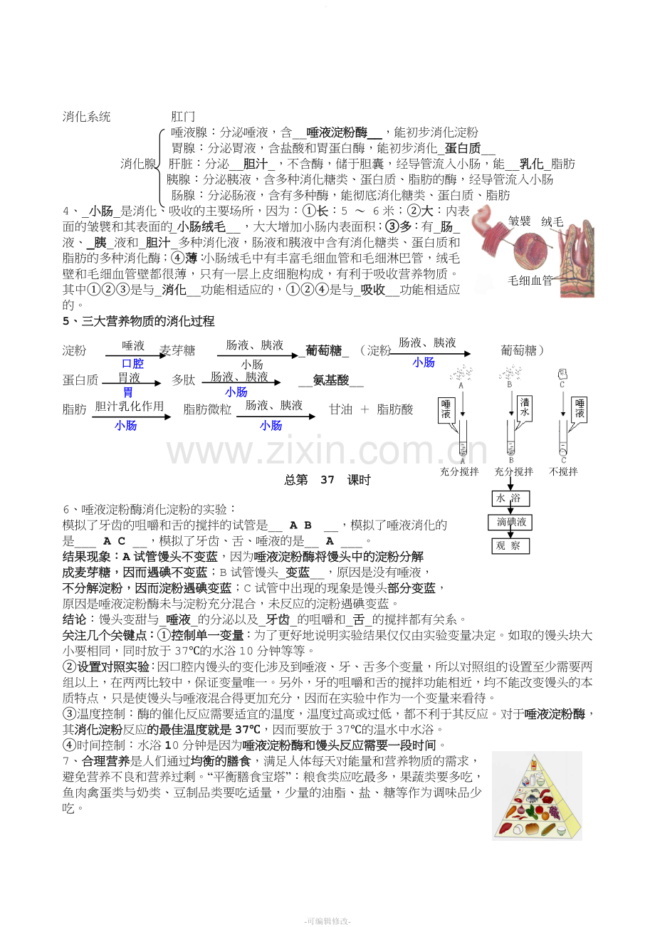 生物七年级下复习教案.doc_第2页