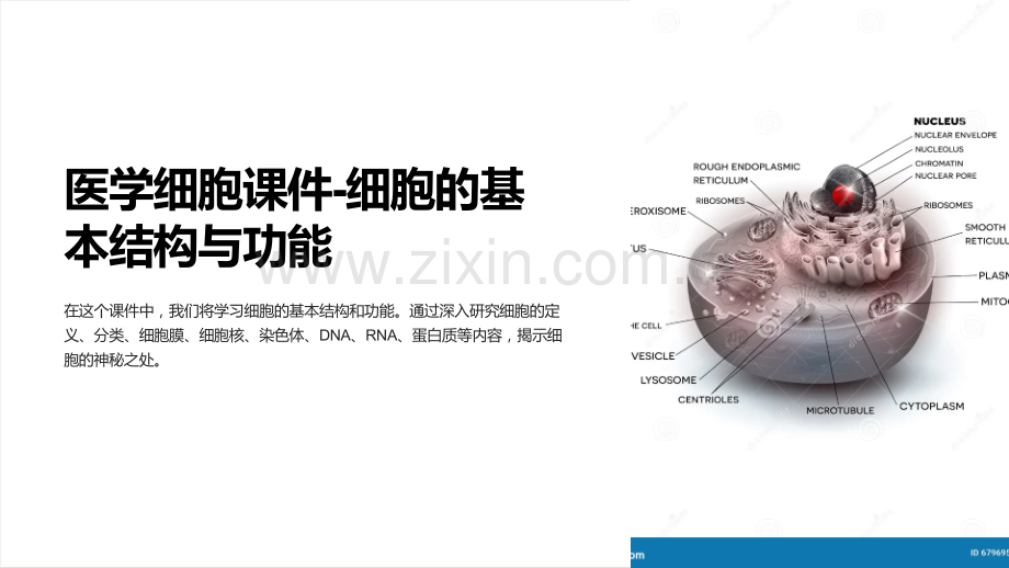 《医学细胞课件-细胞的基本结构与功能》.ppt_第1页