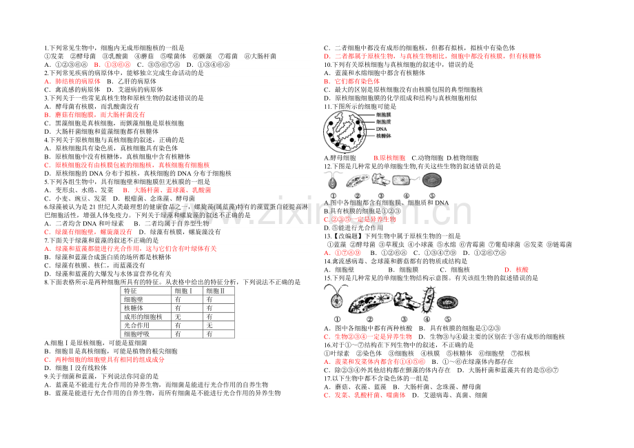 高中生物必修一练习题1-3章.doc_第3页