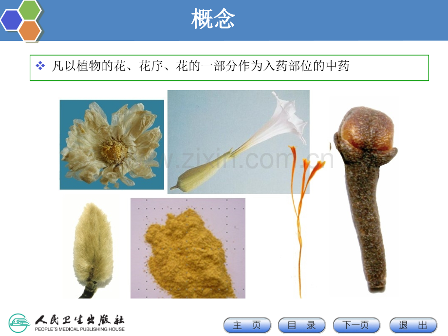 花类中药的鉴定.ppt_第3页