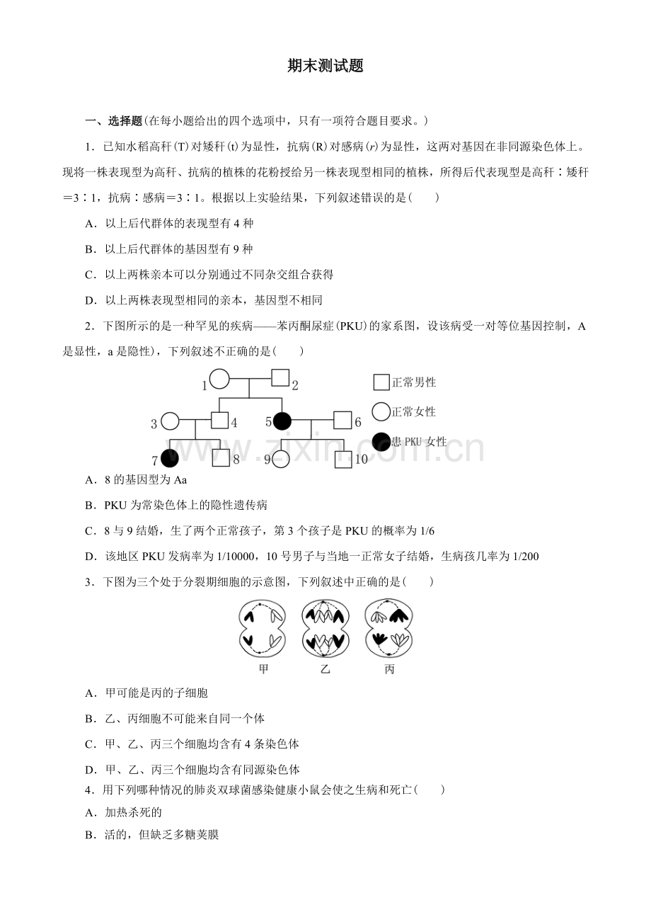 高中生物必修2综合测试题(附答案).doc_第1页