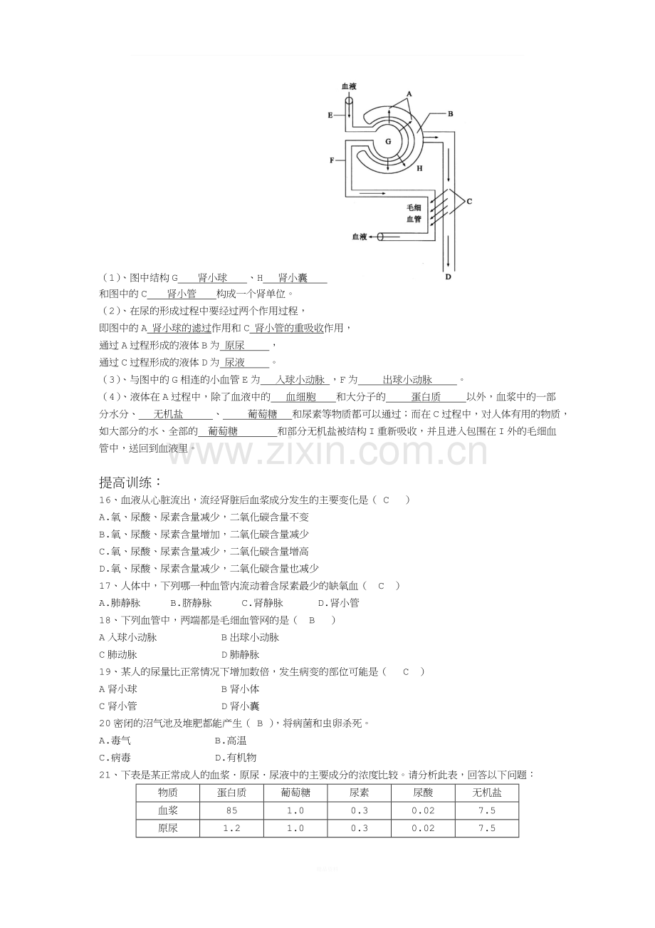 七年级生物人体内废物的排出练习题.doc_第3页