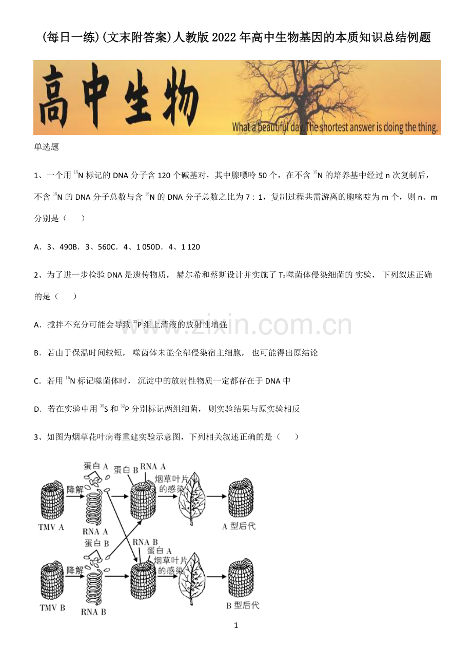 (文末附答案)人教版2022年高中生物基因的本质知识总结例题.pdf_第1页