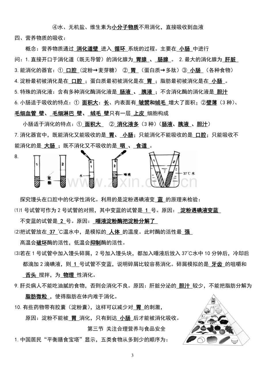 新人教版七年级下册生物复习资料.doc_第3页