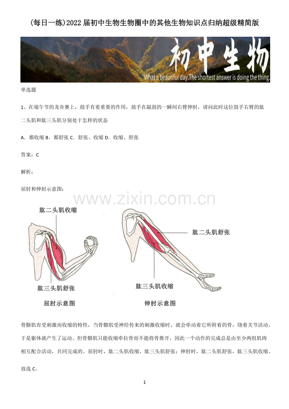 2022届初中生物生物圈中的其他生物知识点归纳超级精简版.pdf_第1页