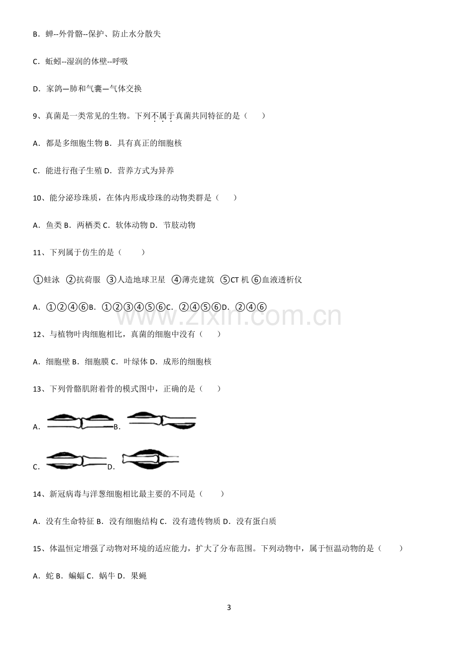 (文末附答案)人教版2022年初中生物生物圈中的其他生物易错知识点总结.pdf_第3页