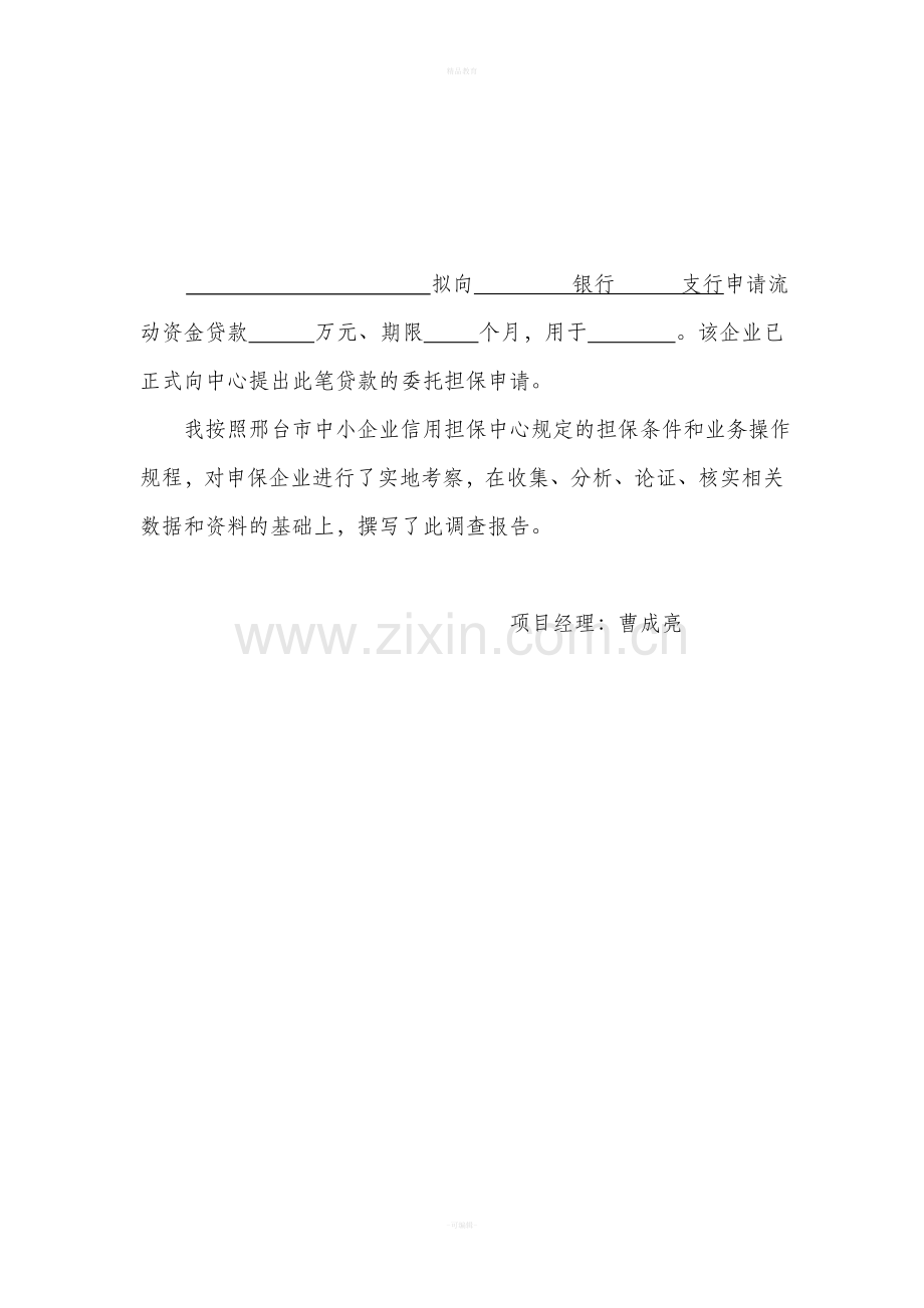 担保业务调查报告(表格式).doc_第2页