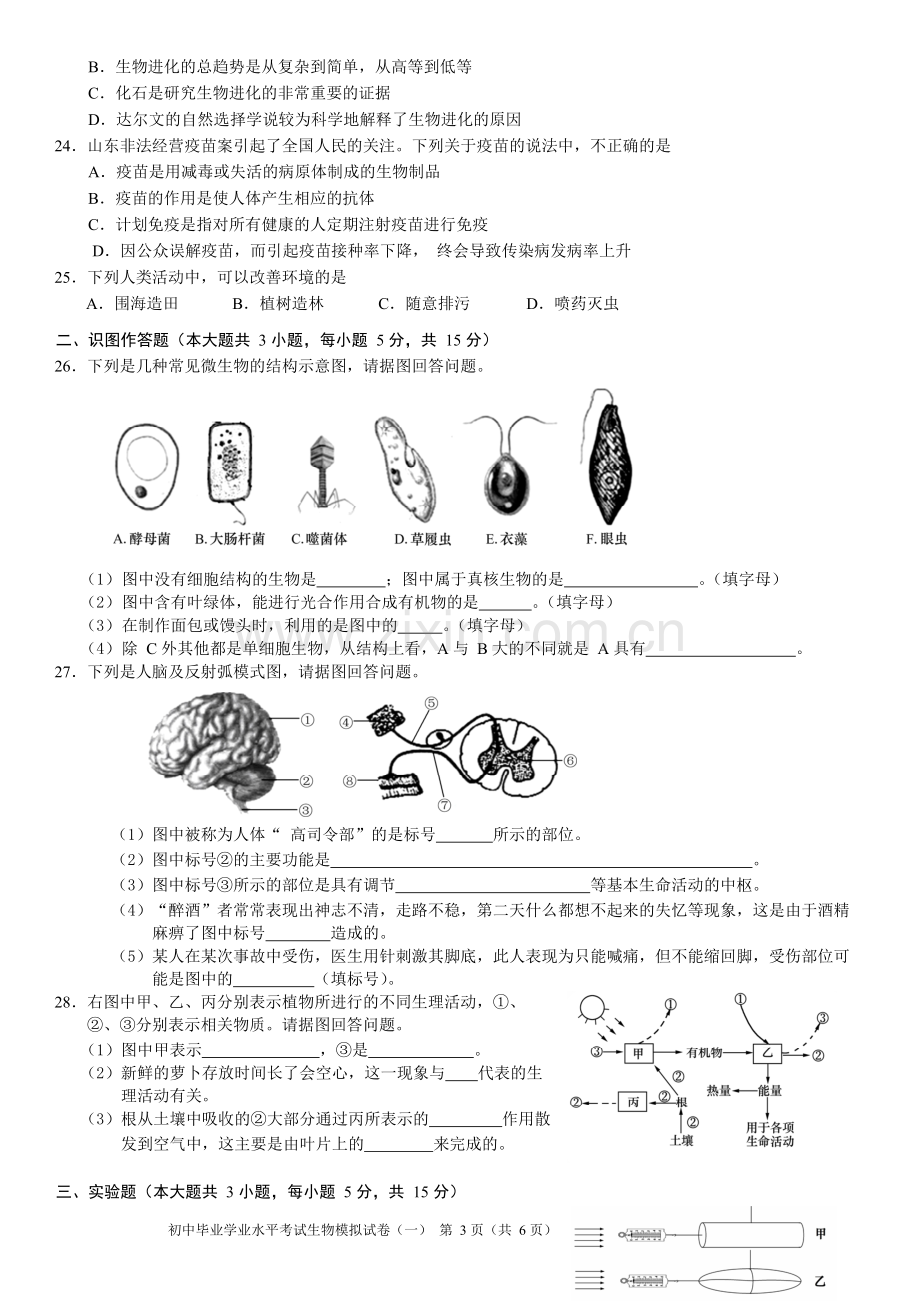 2017年长沙市初中毕业学业水平考试模拟试卷生物(一)及参考答案.doc_第3页