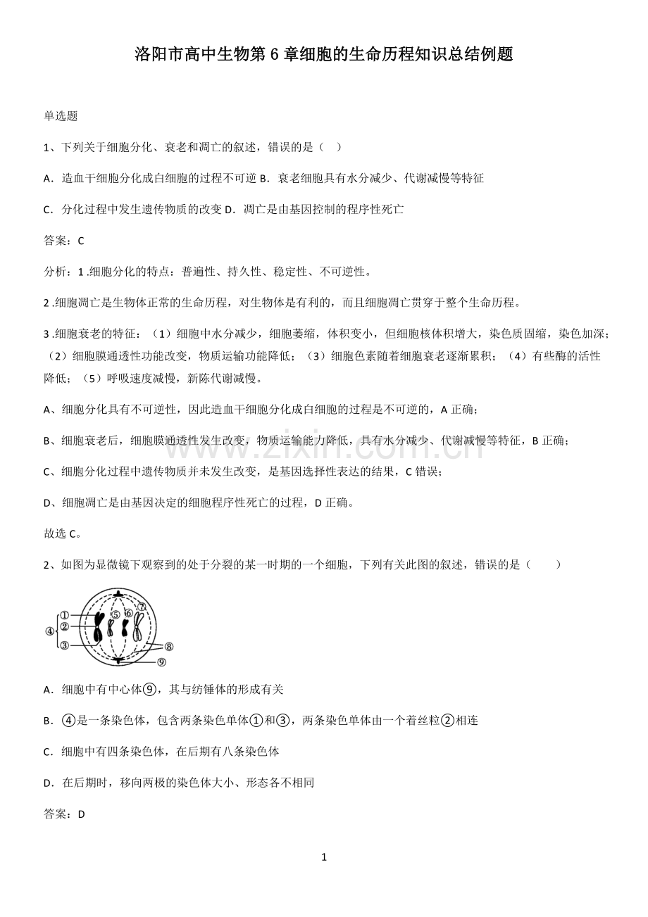 洛阳市高中生物第6章细胞的生命历程知识总结例题.pdf_第1页