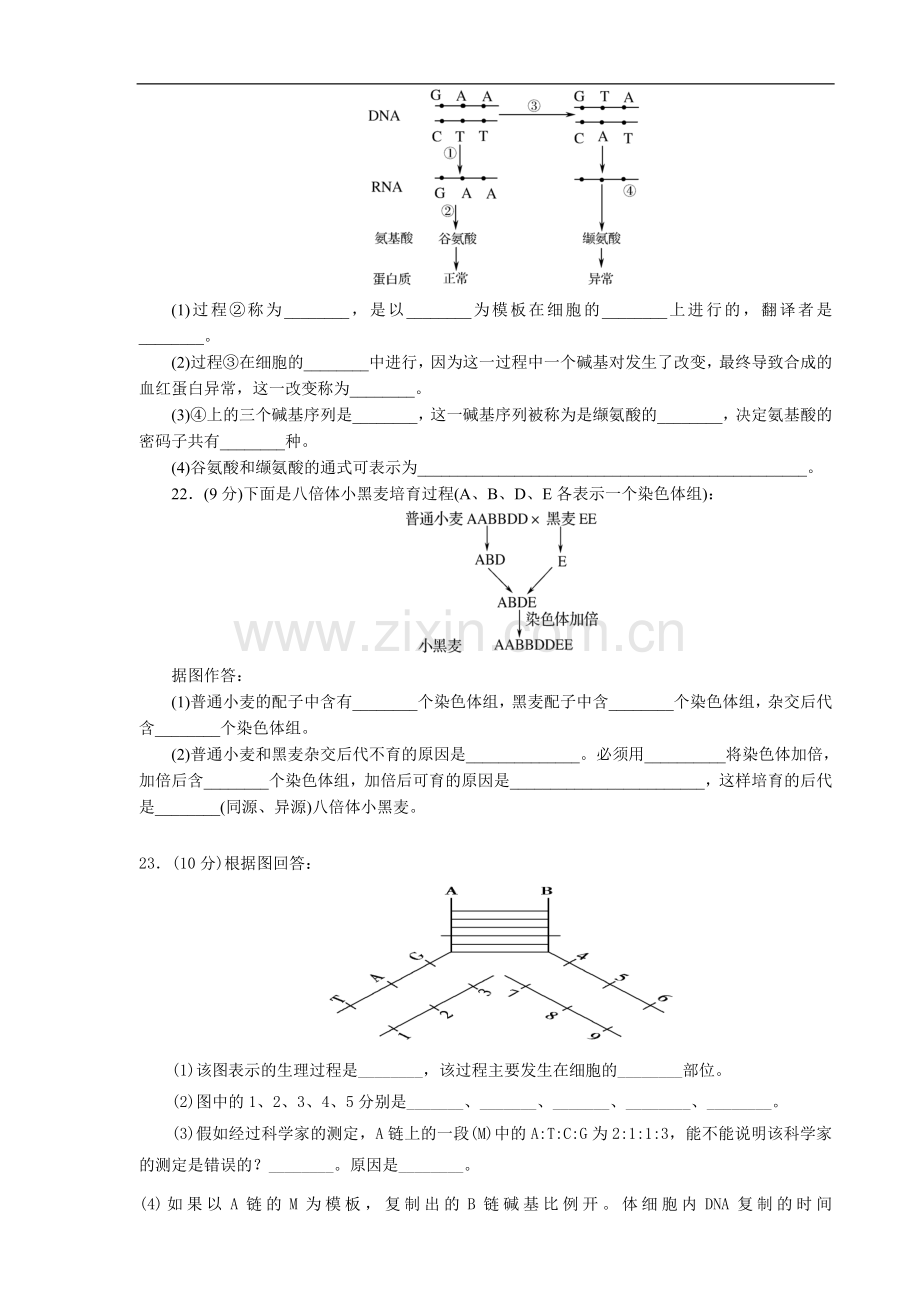 高中生物必修二第五章测试题.doc_第3页