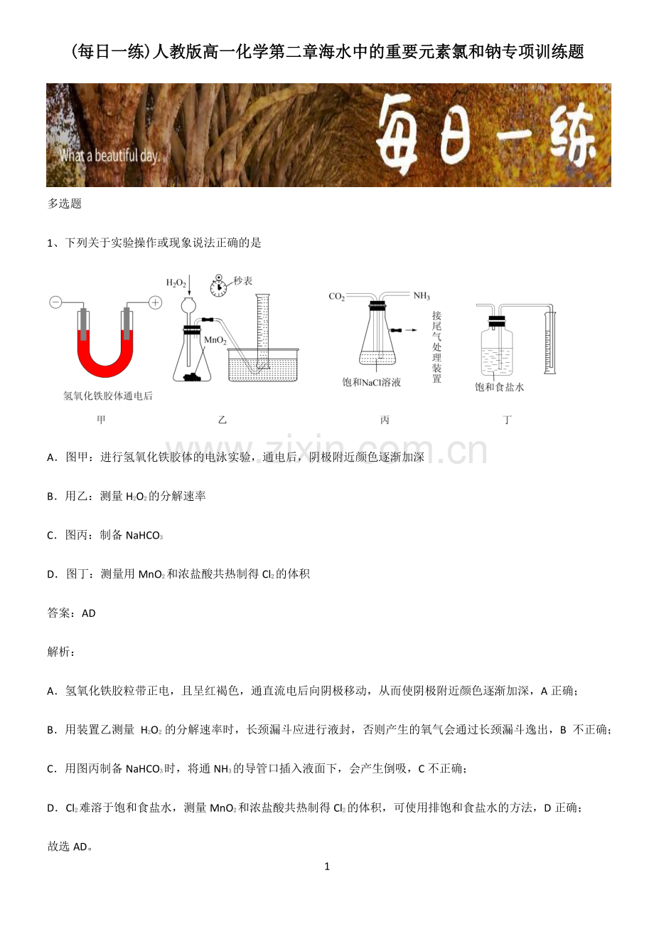 人教版高一化学第二章海水中的重要元素氯和钠专项训练题.pdf_第1页