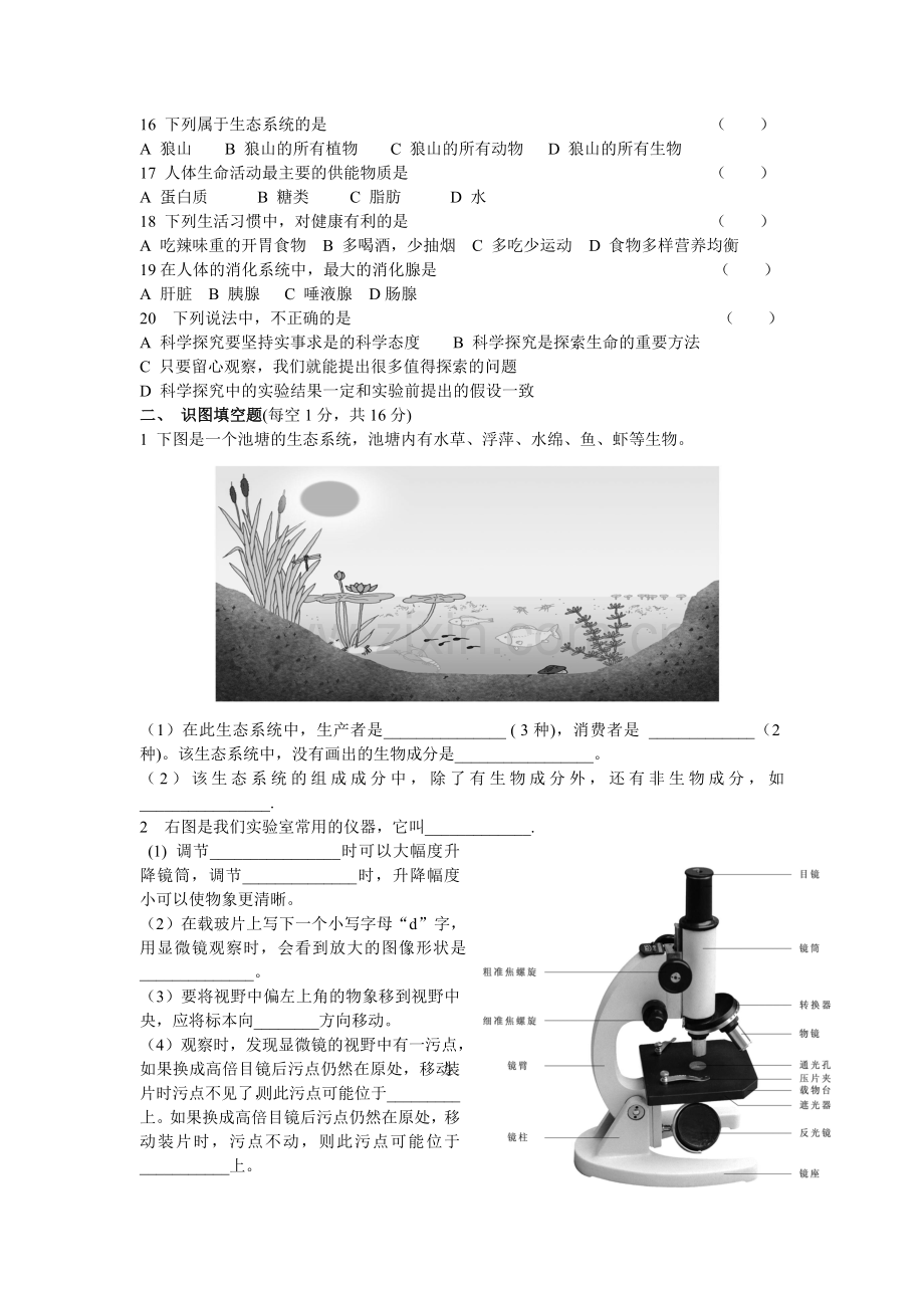 七年级生物试题.doc_第2页