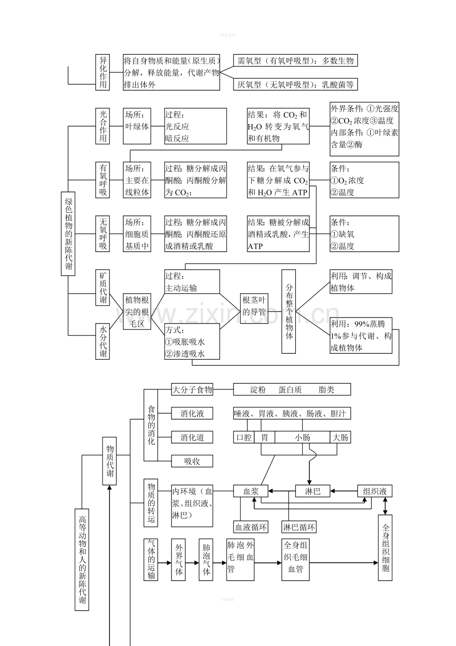 高中生物图解.doc_第3页