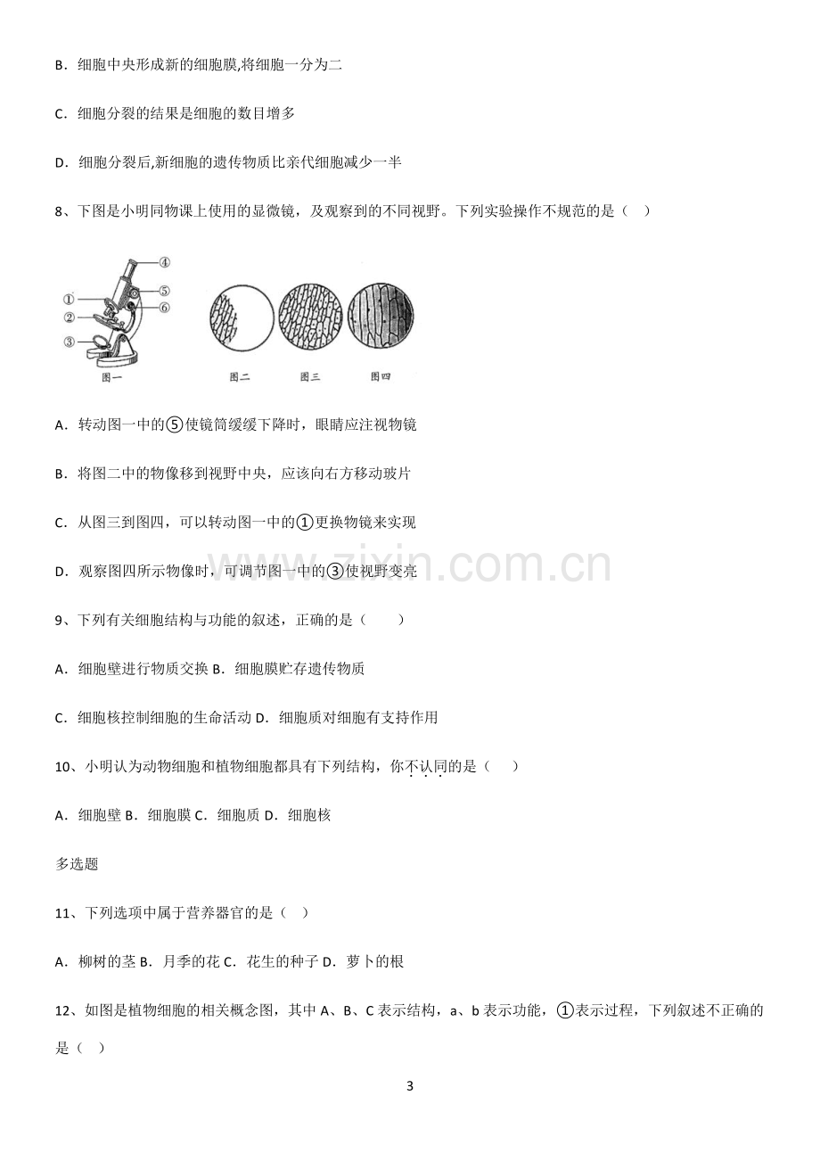 通用版初中生物七年级上册第二单元生物体的结构层次知识点题库.pdf_第3页