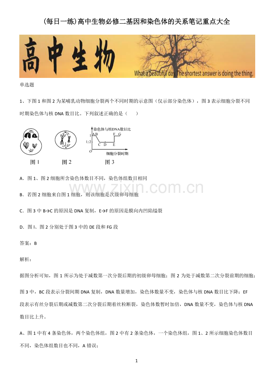 高中生物必修二基因和染色体的关系笔记重点大全.pdf_第1页