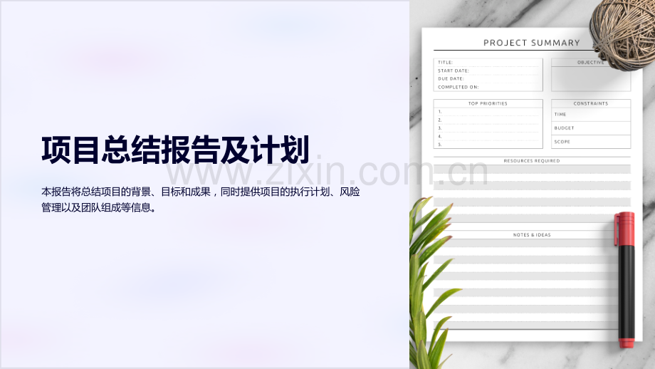 “项目总结报告及计划”.ppt_第1页