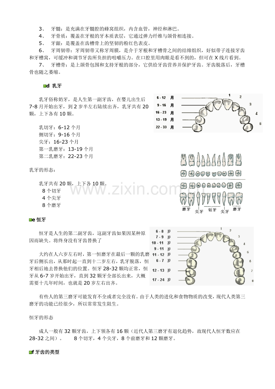 口腔基本结构.doc_第2页