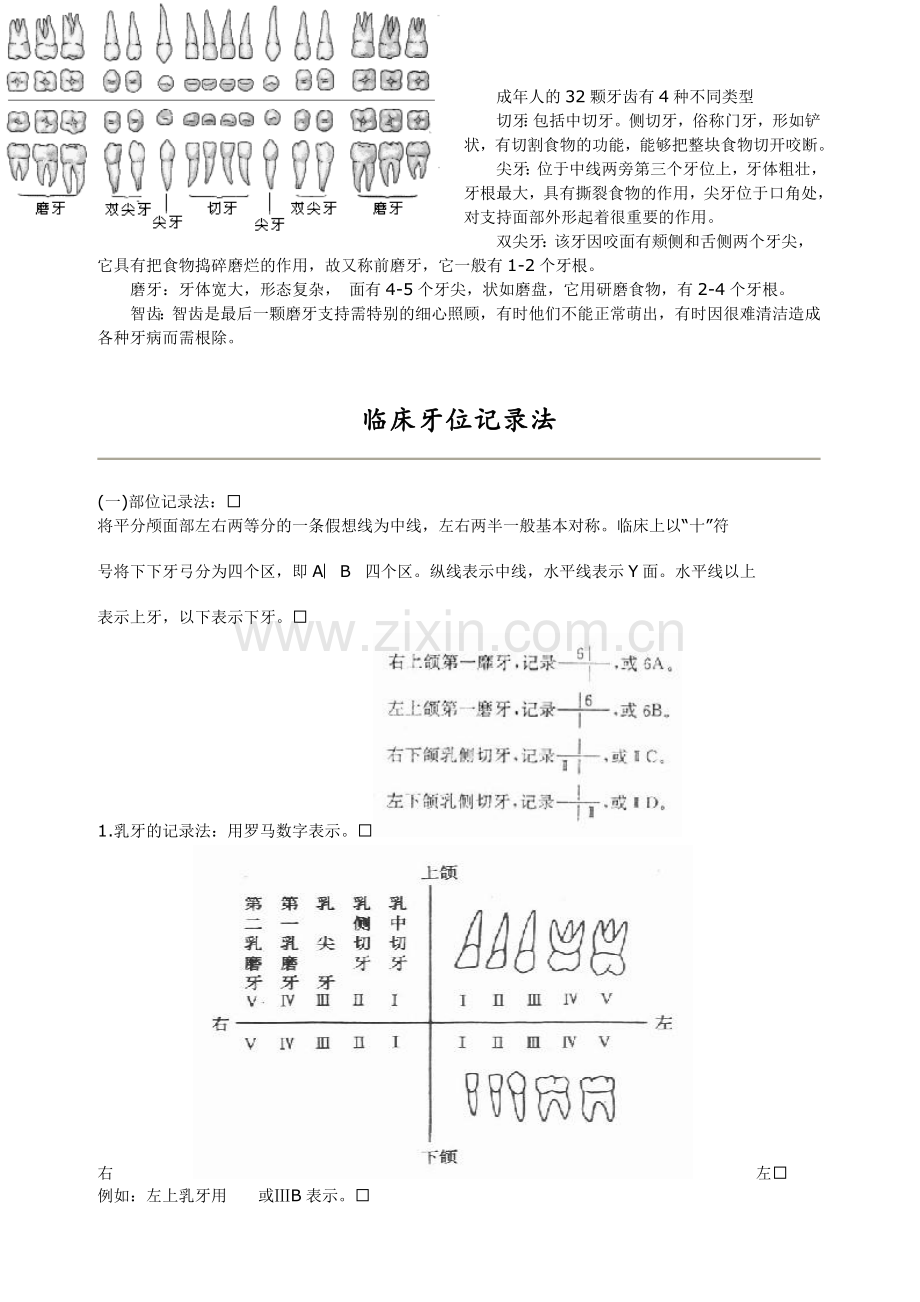 口腔基本结构.doc_第3页