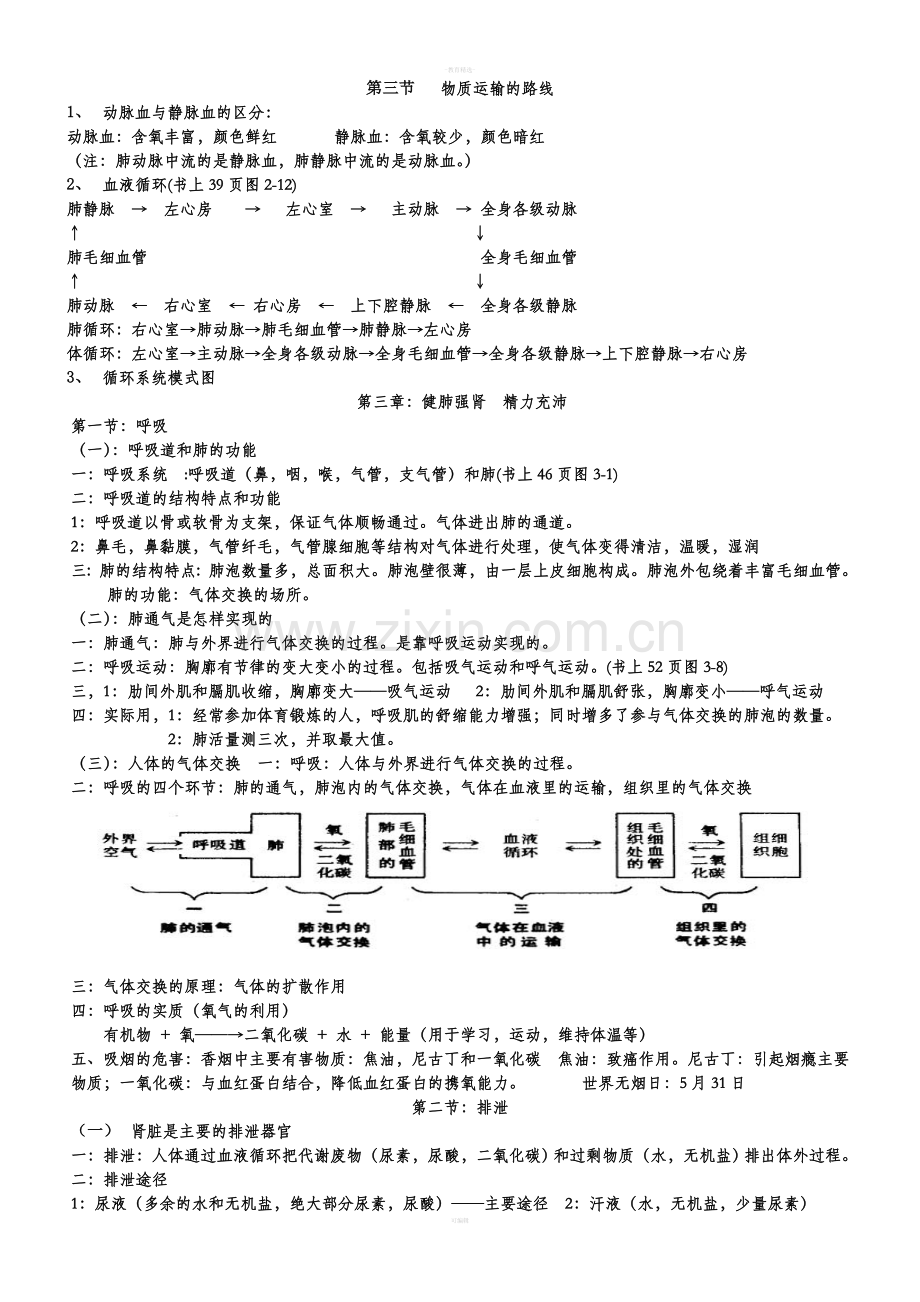 生物七下一至七章复习提纲.doc_第3页