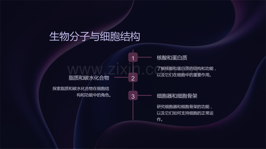 《高中生物教学课件大全》.ppt_第3页