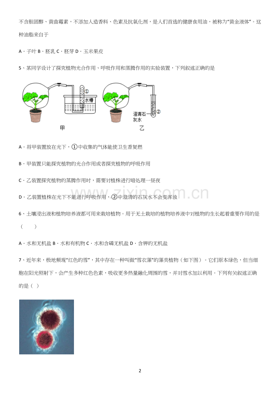 通用版初中生物七年级上册第三单元生物圈中的绿色植物必考知识点归纳.docx_第2页