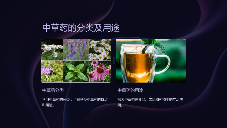 《中药制剂工艺技术课件》.ppt_第2页