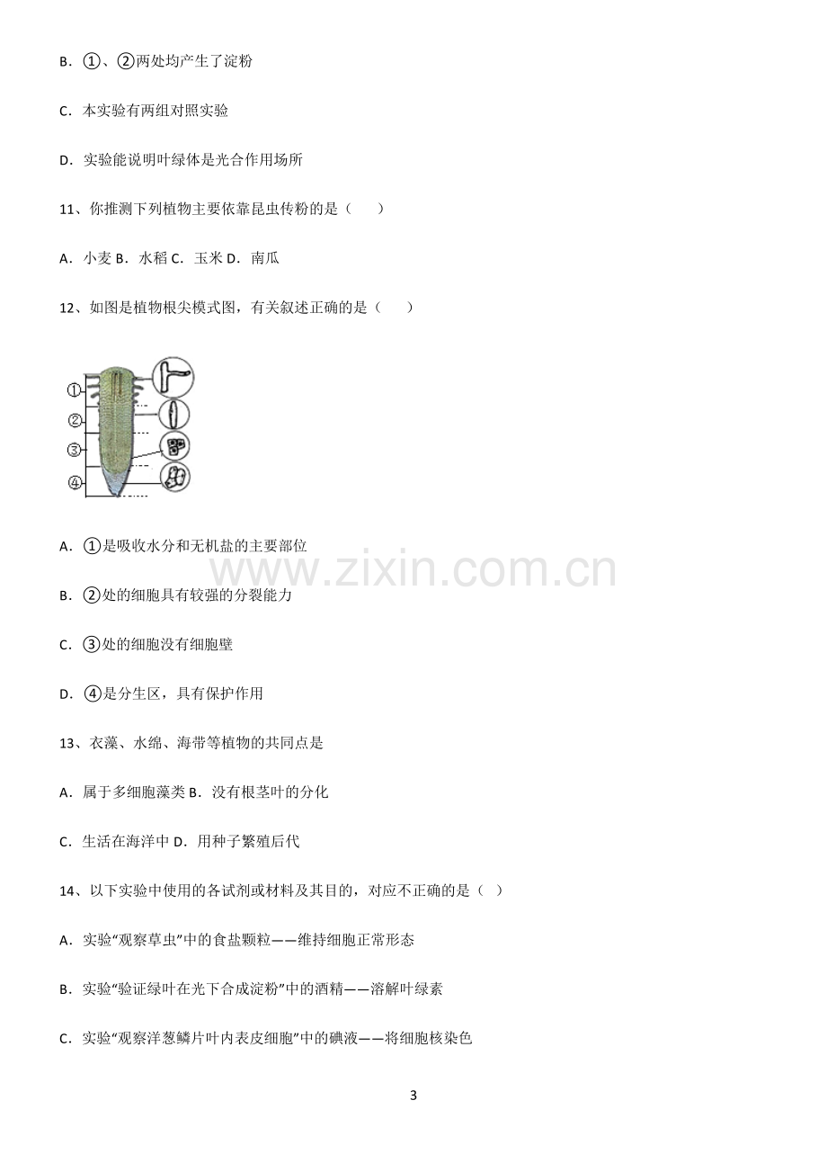 (文末附答案)人教版2022年初中生物生物圈中的绿色植物总结(重点).pdf_第3页