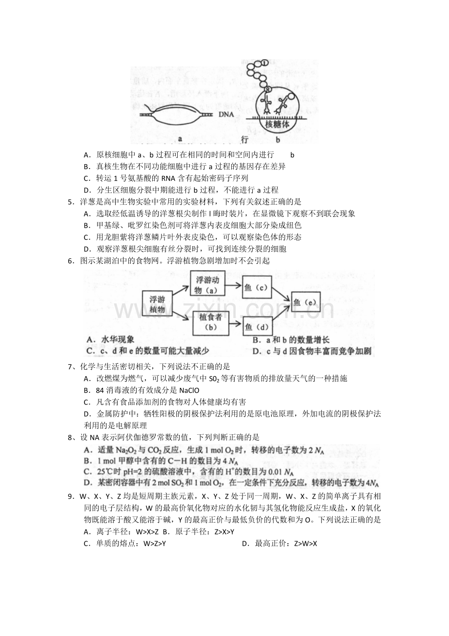 河北省唐山市2015届高三第一次模拟考试理综试题.doc_第2页