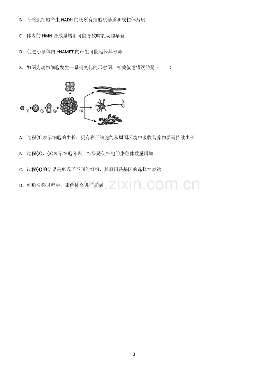 (文末附答案)人教版2022年高中生物细胞的生命历程必考考点训练.pdf_第3页