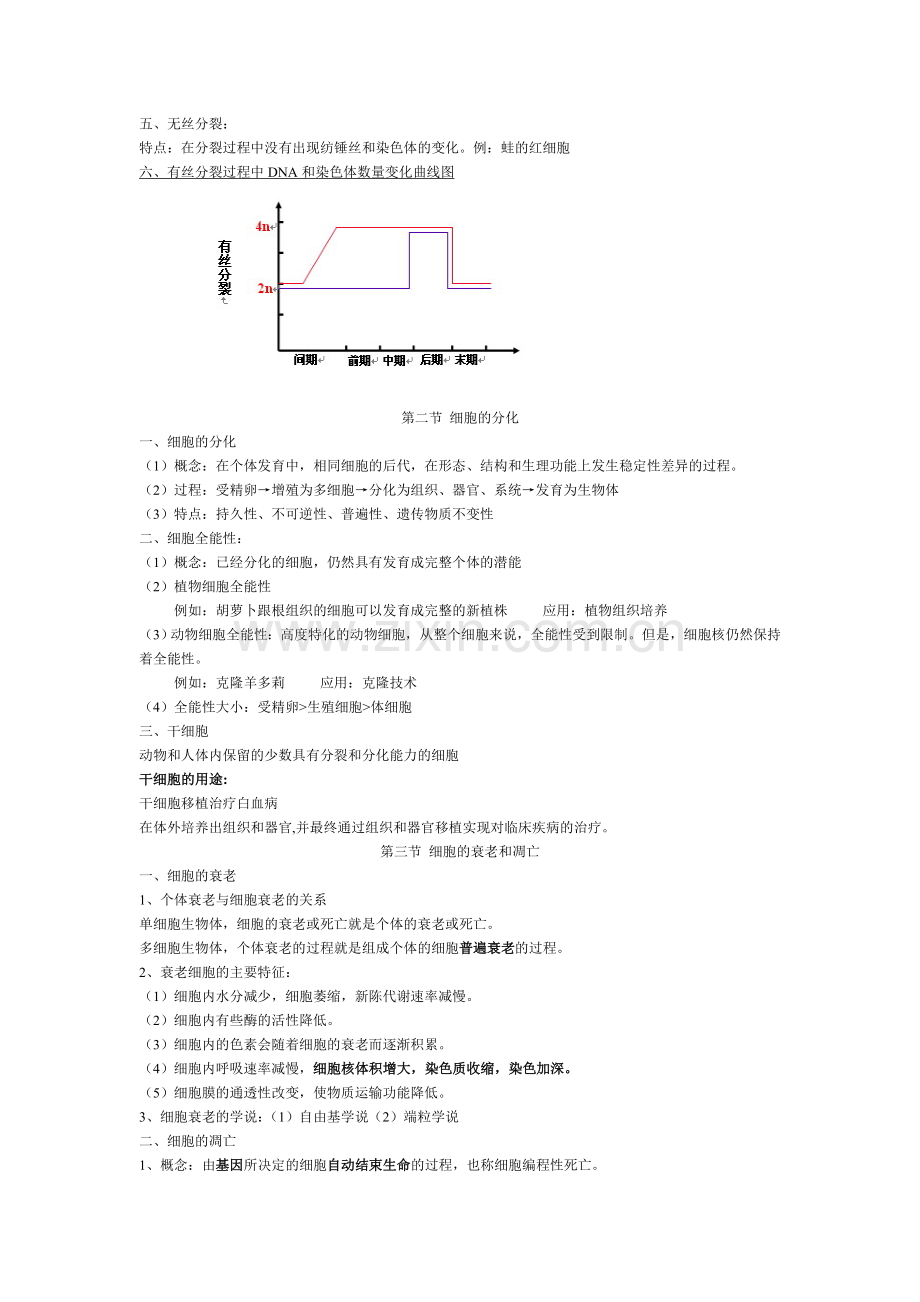 高中生物必修一第六章细胞的生命历程知识点.doc_第2页