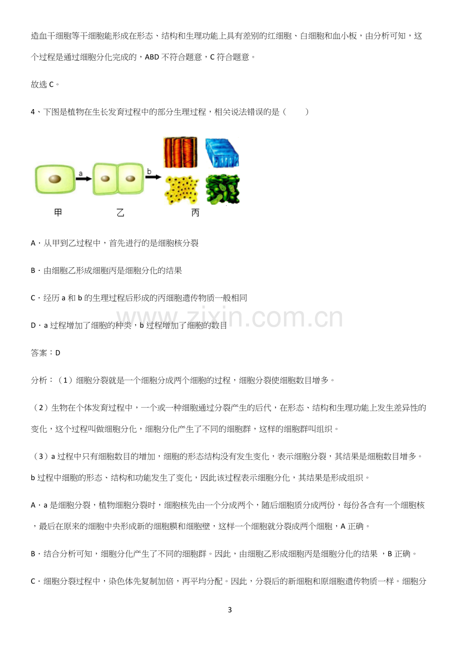 人教版2023初中生物七年级上册第二单元生物体的结构层次必须掌握的典型题.docx_第3页