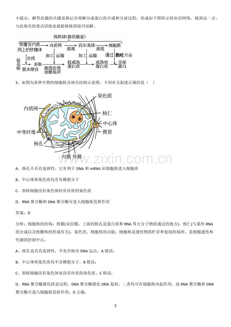 河南省高中生物第3章细胞的基本结构基础知识点归纳总结.pdf_第2页