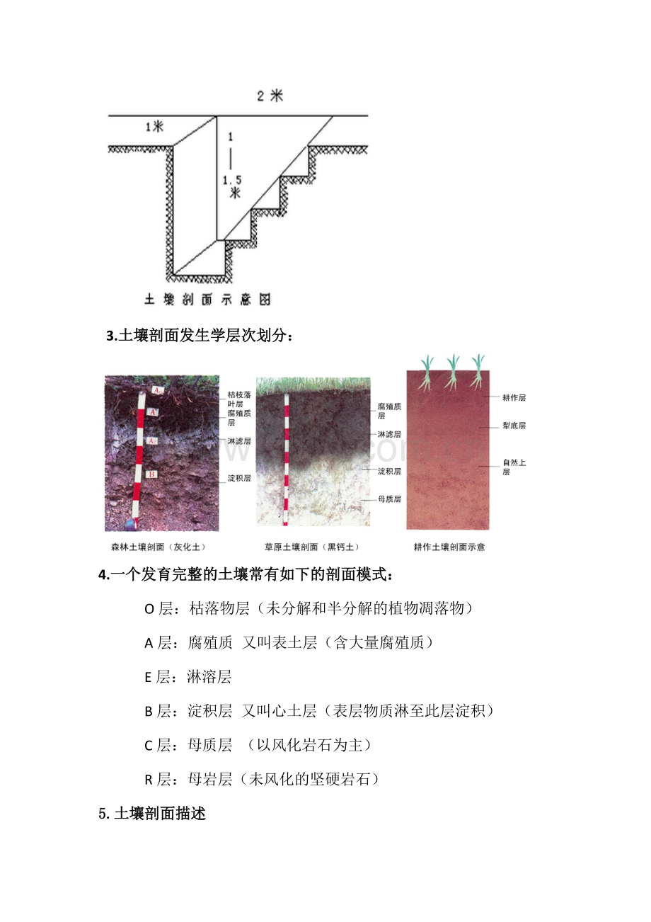 土壤剖面观察.doc_第2页