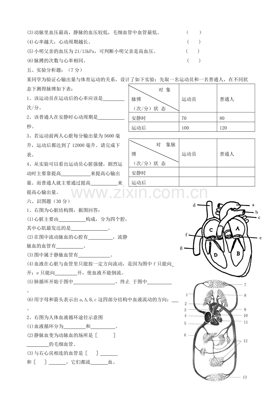 七年级生物下册人体内的物质运输测试题.pdf_第3页